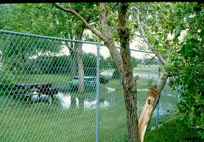 Storm Damage - Broken Trees