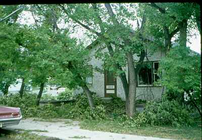 Storm Damage - Tree Damage