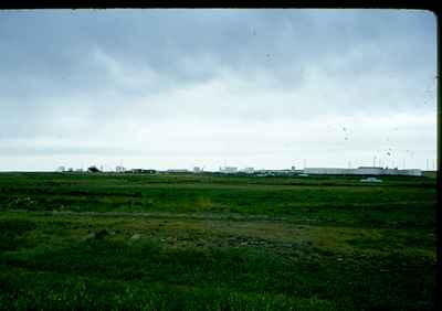 Storm Damage - Mitchell Field