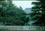 Storm - Tree Fell On House