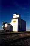 An Elevator in Brownlee, Saskatchewan