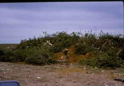 Tree Pile Landfill Site June 3 Storm