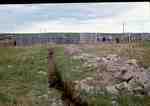 Feedlot South of Filtration Plant