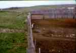 Feedlot South of Filtration Plant