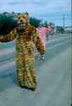 Frontier Days Parade