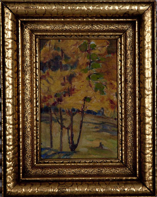 Untitled (Autumn Birches)