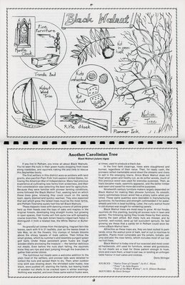 Pelham Historical Calendar 1992: &quot;Another Carolinian Tree Black Walnut (Julans nigra)&quot;