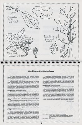 Pelham Historical Calendar 1989: &quot;Our Unique Carolinian Trees&quot;