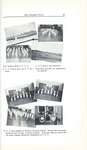 Pelham Pnyx 1937 - Collage of School Photographs