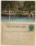 Postcard: Picnic Grounds, Bronte, Ont.