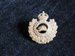 F.R. Powell, Canadian Forestry Corp. Badge and Medals, WWI