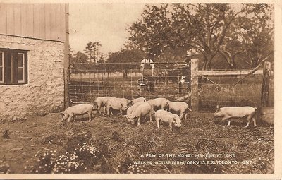 Post Card: "A Few of the Money Makers At The Walker House Farm, Oakville & Toronto, Ont."