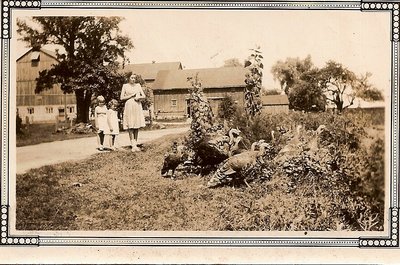 Lois, Martha, Kathryn Biggar at Glenclare Farm