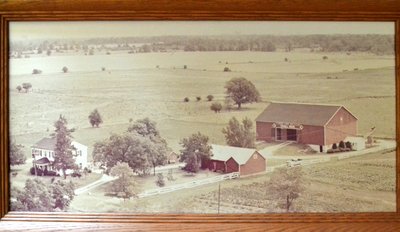 Aerial Photograph of Elmbank Farm, Tovell Bros.