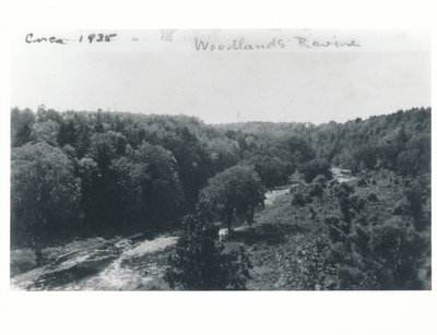 View of Bronte Creek from &quot;Woodlands&quot;, 1242 Bronte Road, ca1935