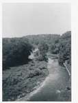 View of Bronte Creek from "Woodlands", 1242 Bronte Road, ca1935