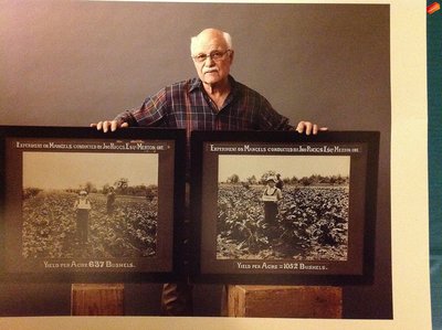 The Results of Fertilizer Experimentation on the Riggs Farm Mangel Field Carried Out by Jno Riggs, Merton, Ontario