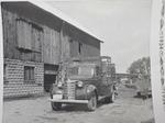 Shillum Dairy Farm, 1950's