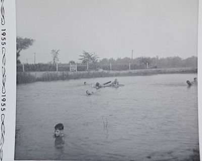 Shillum Farm Pond