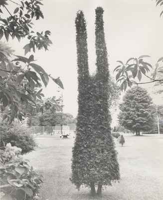 The “Tuning Fork” at Cedar Croft Motorcourt, 1965.