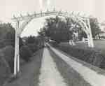 Driveway at Cedar Croft, 1965.