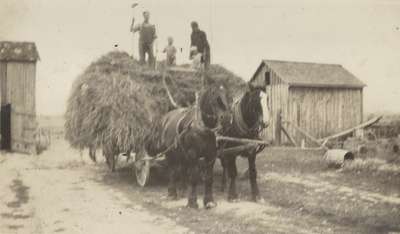 Haying on the Wettlaufer Farm