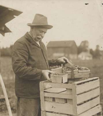 T.R. Lyon and Strawberries