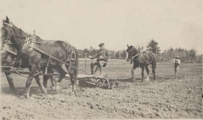 Farm of T.R. Lyon