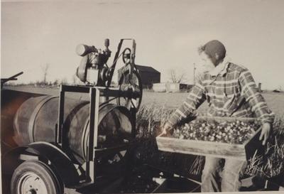 Gordon Brigden's Gladiola Harvester