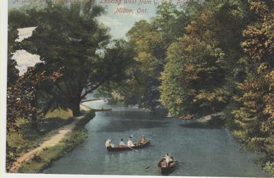 Milton Postcard