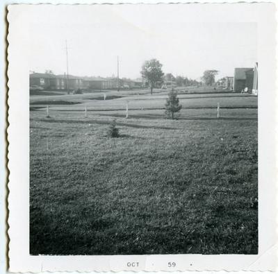 Looking North 3rd Line Oct 1959.