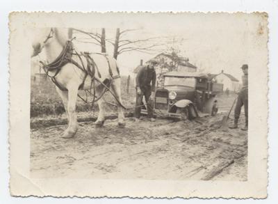 Horse Pulling A Car Out Of A Muddy Road, Milton Area.