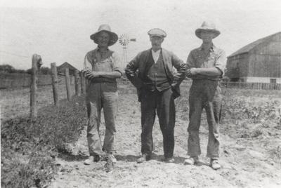 Cecil, Edward, and Homer McCann, 1918.