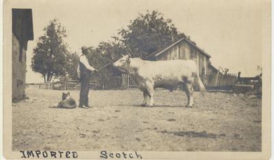 Mr. Herbert Inglehart and His Imported Scotch Bull