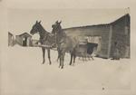 Ford Farm, Driving Shed, Chicken Coop, Dog House