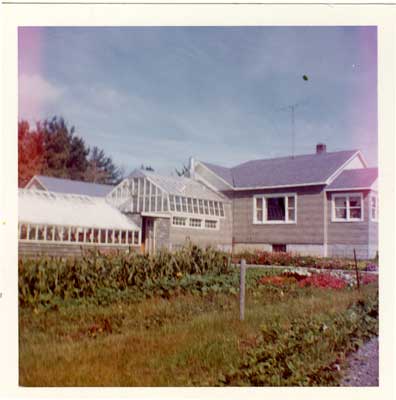 Whitfield's Greenhouse in the Summertime, Thessalon, 1961