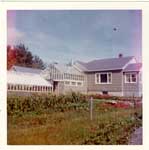 Whitfield's Greenhouse in the Summertime, Thessalon, 1961