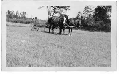 Haying, Thessalon Area, circa 1920