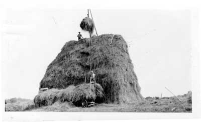 Two Men Piling Hay, Thessalon, circa 1960