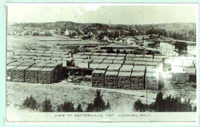 Summer View of Nestorville, Looking West, circa 1930
