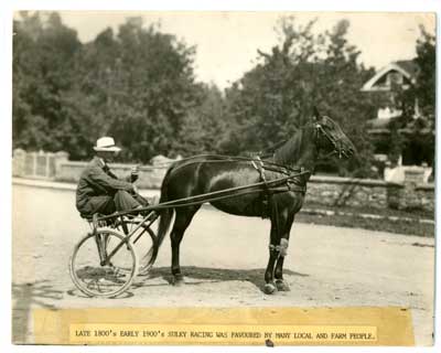 Sulky Racer, Thessalon, circa 1900