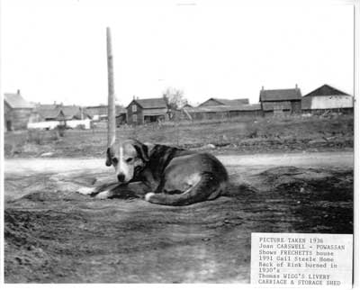 Dog and Buildings in Thessalon, Summer, 1936