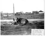 Dog and Buildings in Thessalon, Summer, 1936