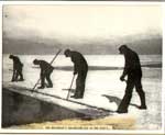 Four Bellerose Brothers Harvesting Ice, Thessalon, circa 1920