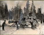 Loading Logs, Thessalon Area, circa 1900