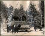Loading Logs in the Thessalon Area, circa 1900