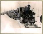 Steam Driven Tractor Loaded with Logs, Algoma District, circa 1915