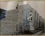 Stacking Lumber, Thessalon Area, circa 1910