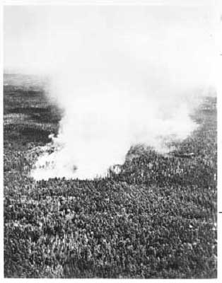 Forest Fire, circa 1948 (2/14)