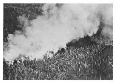 Forest Fire, Crica 1948, (3/16)